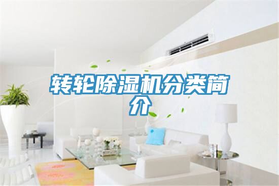 轉輪除濕機分類(lèi)簡(jiǎn)介