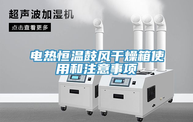 電熱恒溫鼓風(fēng)干燥箱使用和注意事項