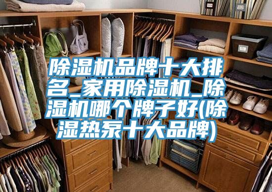 除濕機品牌十大排名_家用除濕機_除濕機哪個(gè)牌子好(除濕熱泵十大品牌)