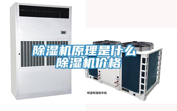 除濕機原理是什么 除濕機價(jià)格