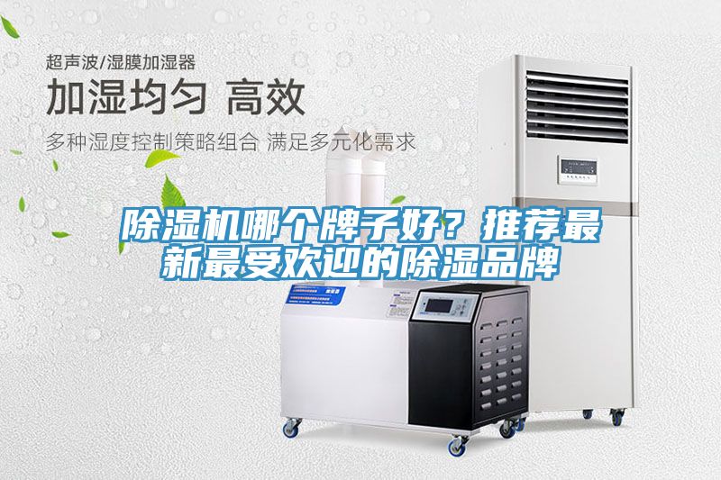 除濕機哪個(gè)牌子好？推薦最新最受歡迎的除濕品牌