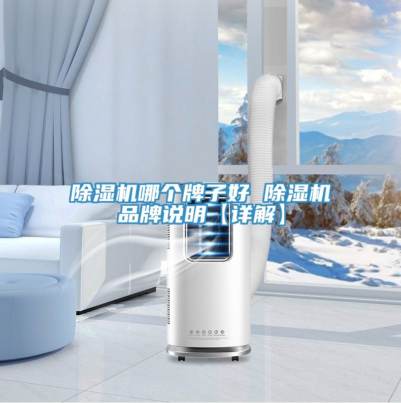 除濕機哪個(gè)牌子好 除濕機品牌說(shuō)明【詳解】