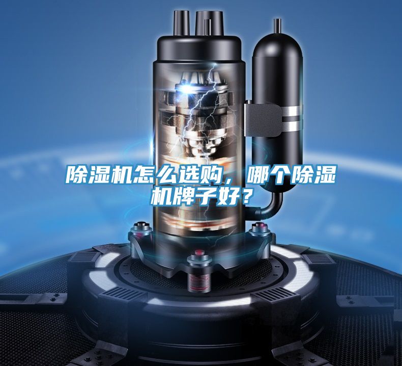 除濕機怎么選購，哪個(gè)除濕機牌子好？