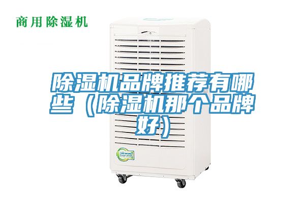 除濕機品牌推薦有哪些（除濕機那個(gè)品牌好）