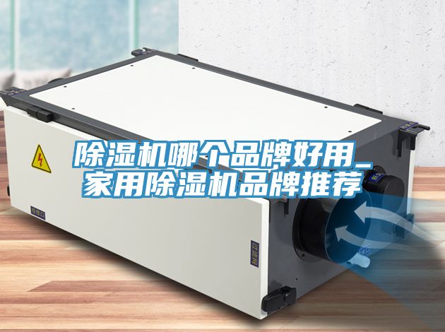 除濕機哪個(gè)品牌好用_家用除濕機品牌推薦