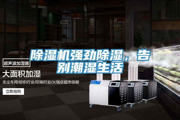 除濕機強勁除濕，告別潮濕生活