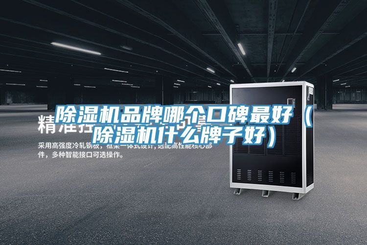除濕機品牌哪個(gè)口碑最好（除濕機什么牌子好）