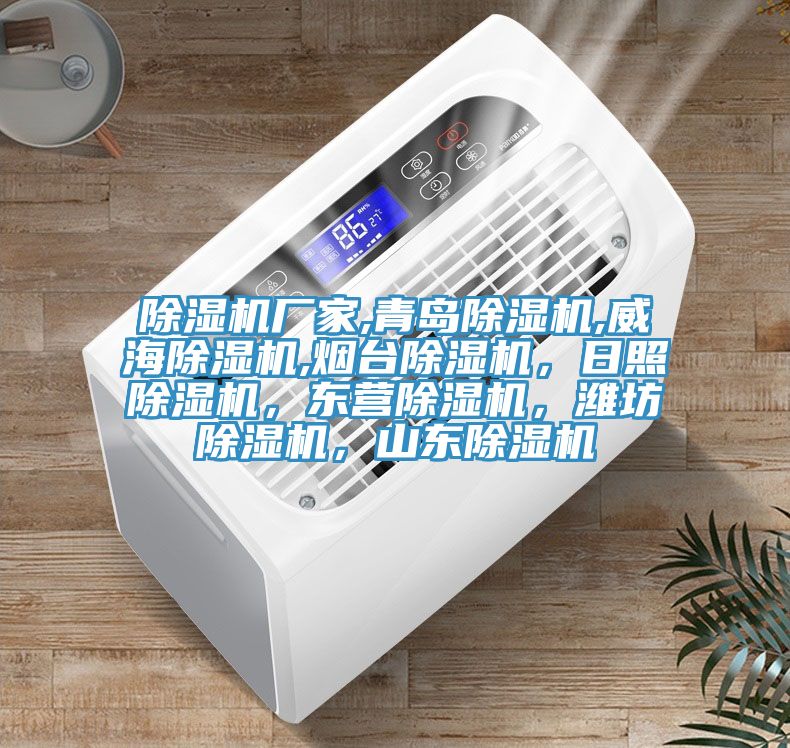 除濕機廠(chǎng)家,青島除濕機,威海除濕機,煙臺除濕機，日照除濕機，東營(yíng)除濕機，濰坊除濕機，山東除濕機