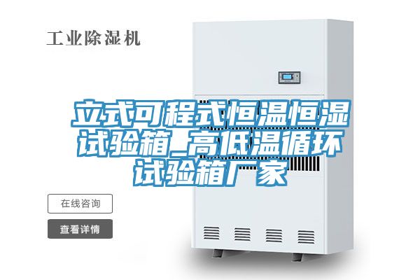 立式可程式恒溫恒濕試驗箱_高低溫循環(huán)試驗箱廠(chǎng)家