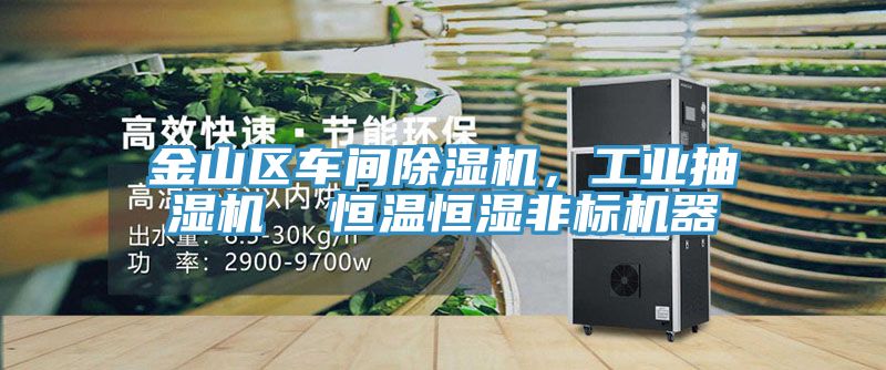 金山區車(chē)間除濕機，工業(yè)抽濕機  恒溫恒濕非標機器