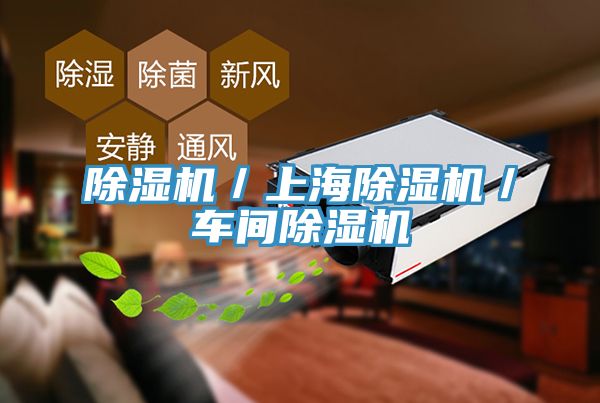 除濕機／上海除濕機／車(chē)間除濕機