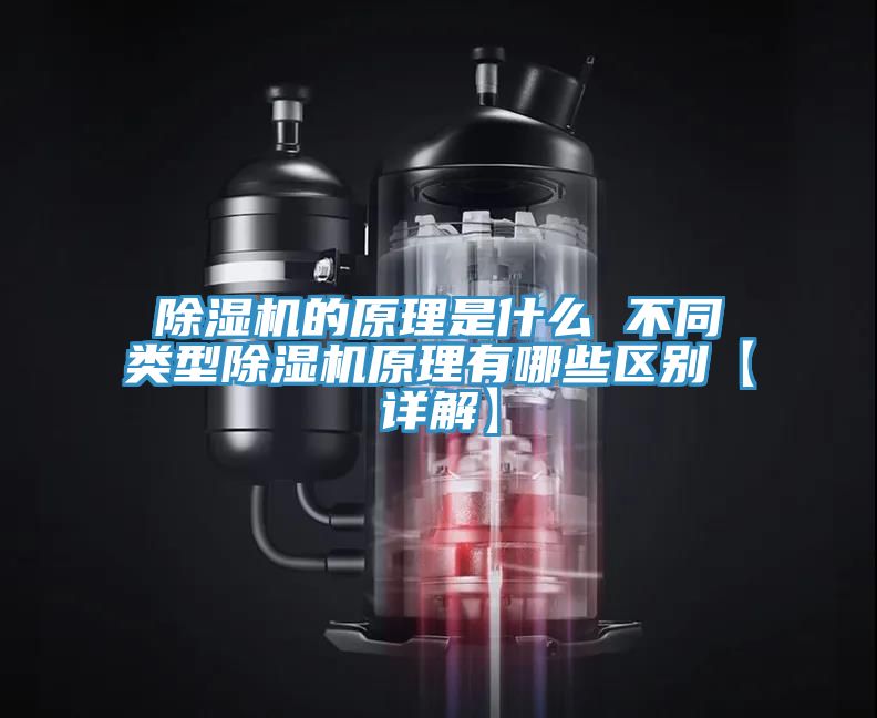 除濕機的原理是什么 不同類(lèi)型除濕機原理有哪些區別【詳解】