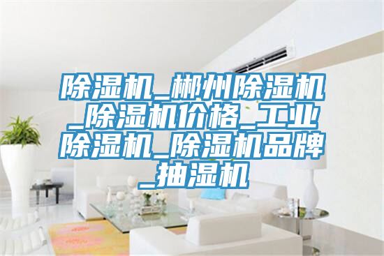 除濕機_郴州除濕機_除濕機價(jià)格_工業(yè)除濕機_除濕機品牌_抽濕機