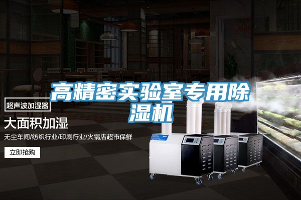 高精密實(shí)驗室專(zhuān)用除濕機