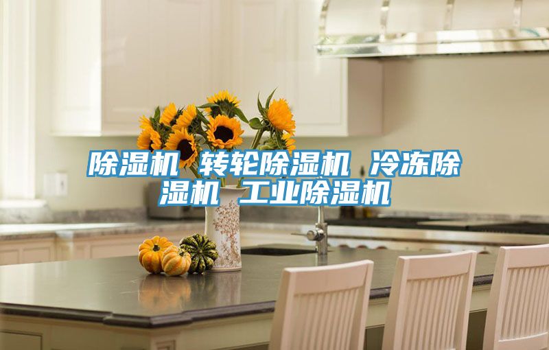 除濕機 轉輪除濕機 冷凍除濕機 工業(yè)除濕機