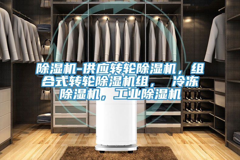 除濕機-供應轉輪除濕機，組合式轉輪除濕機組， 冷凍除濕機，工業(yè)除濕機