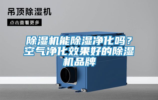 除濕機能除濕凈化嗎？空氣凈化效果好的除濕機品牌