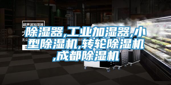 除濕器,工業(yè)加濕器,小型除濕機,轉輪除濕機,成都除濕機