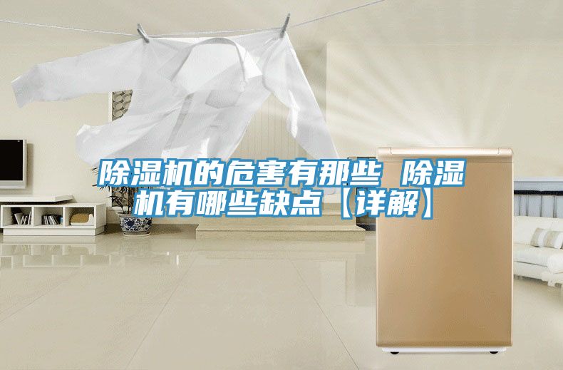 除濕機的危害有那些 除濕機有哪些缺點(diǎn)【詳解】