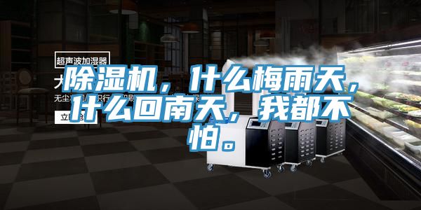 除濕機，什么梅雨天，什么回南天，我都不怕。