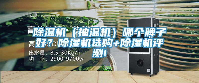除濕機（抽濕機）哪個(gè)牌子好？除濕機選購+除濕機評測!