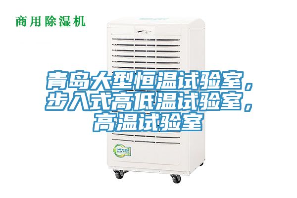 青島大型恒溫試驗室，步入式高低溫試驗室，高溫試驗室