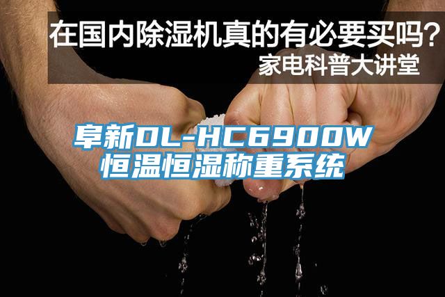 阜新DL-HC6900W恒溫恒濕稱(chēng)重系統