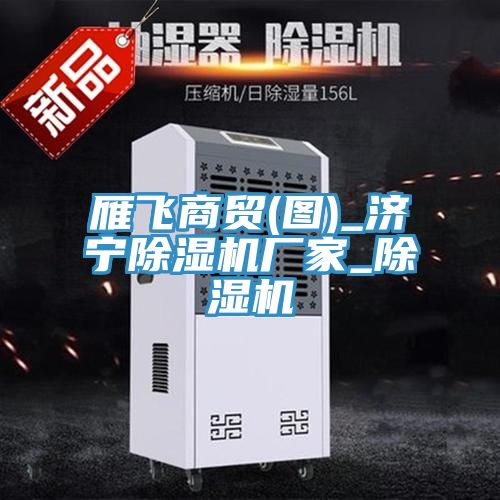 雁飛商貿(圖)_濟寧除濕機廠(chǎng)家_除濕機