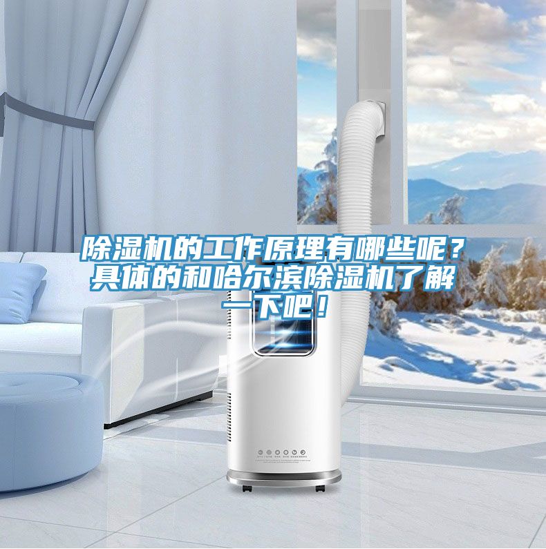 除濕機的工作原理有哪些呢？具體的和哈爾濱除濕機了解一下吧！