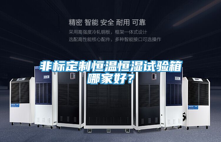 非標定制恒溫恒濕試驗箱哪家好？