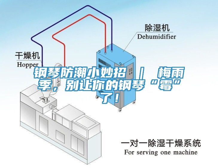 鋼琴防潮小妙招 ｜ 梅雨季，別讓你的鋼琴“霉”了！
