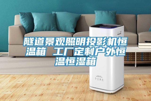 隧道景觀(guān)照明投影機恒溫箱 工廠(chǎng)定制戶(hù)外恒溫恒濕箱