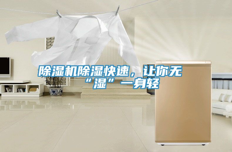 除濕機除濕快速，讓你無(wú)“濕”一身輕