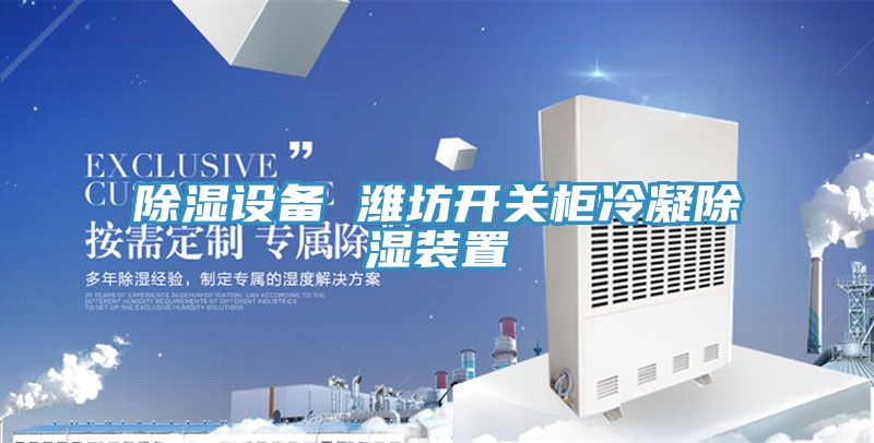 除濕設備 濰坊開(kāi)關(guān)柜冷凝除濕裝置