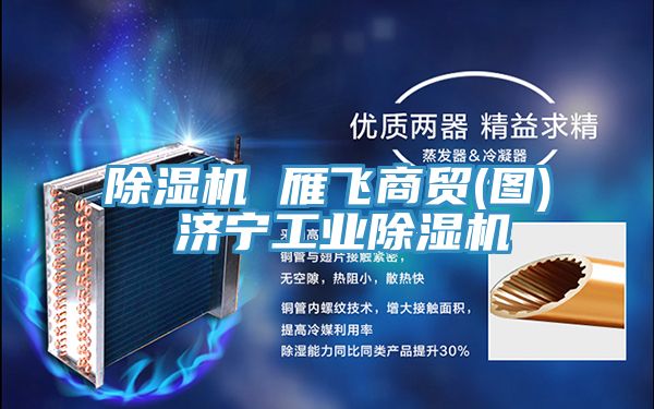 除濕機 雁飛商貿(圖) 濟寧工業(yè)除濕機