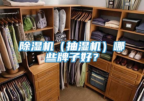 除濕機（抽濕機）哪些牌子好？