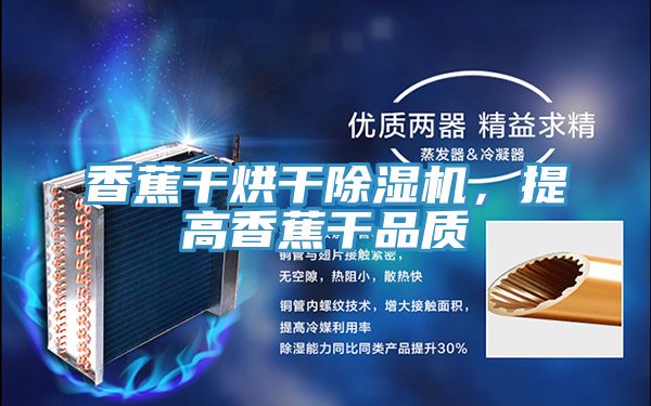 香蕉干烘干除濕機，提高香蕉干品質(zhì)