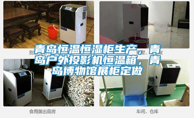 青島恒溫恒濕柜生產(chǎn)，青島戶(hù)外投影機恒溫箱，青島博物館展柜定做