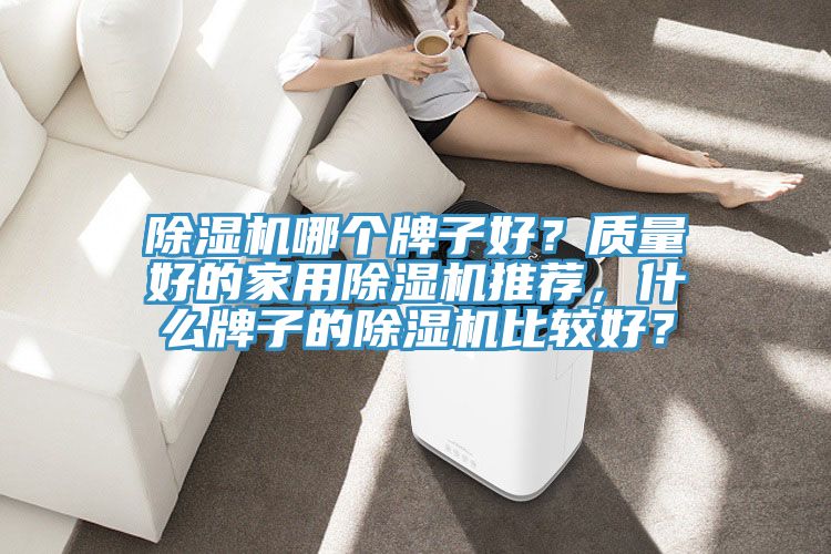 除濕機哪個(gè)牌子好？質(zhì)量好的家用除濕機推薦，什么牌子的除濕機比較好？