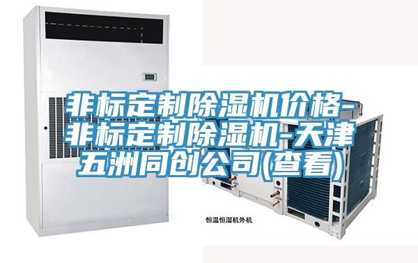 非標定制除濕機價(jià)格-非標定制除濕機-天津五洲同創(chuàng  )公司(查看)