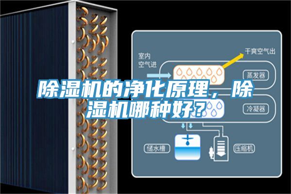 除濕機的凈化原理，除濕機哪種好？