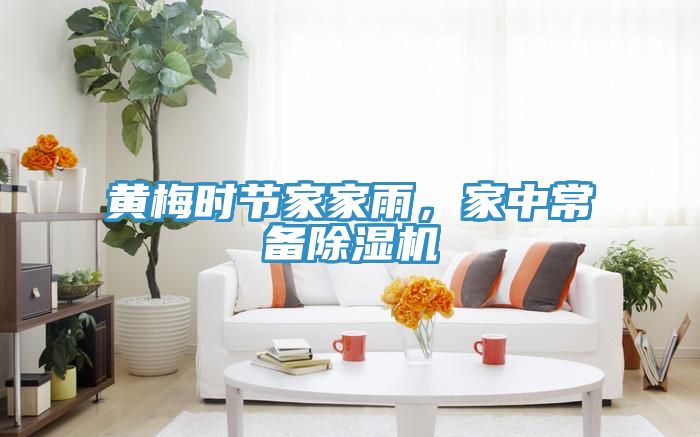 黃梅時(shí)節家家雨，家中常備除濕機