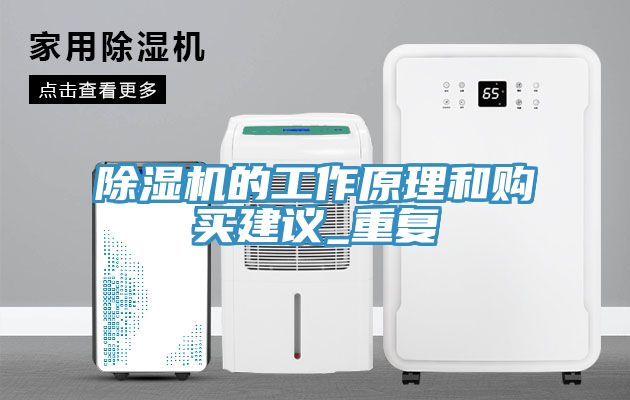 除濕機的工作原理和購買(mǎi)建議_重復