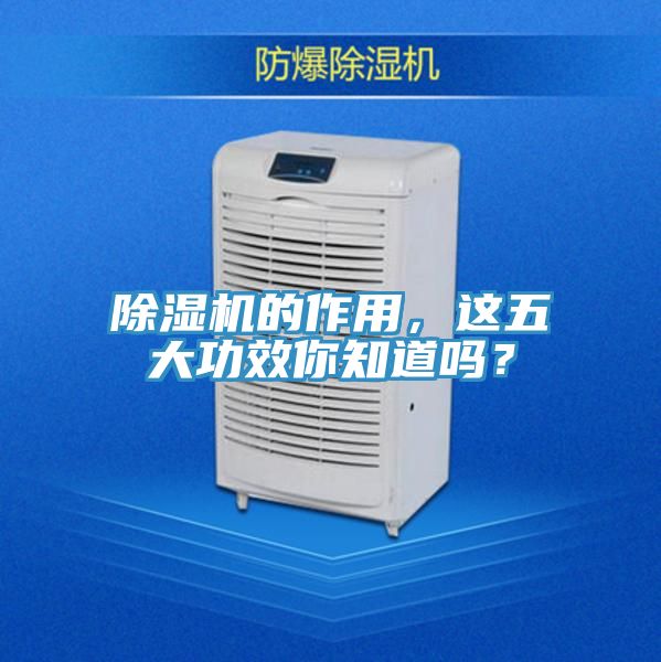 除濕機的作用，這五大功效你知道嗎？