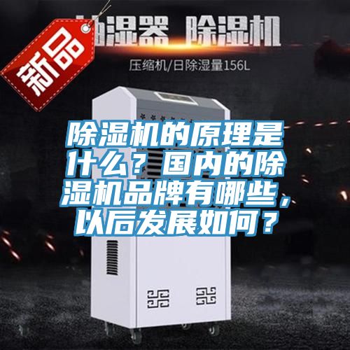 除濕機的原理是什么？國內的除濕機品牌有哪些，以后發(fā)展如何？