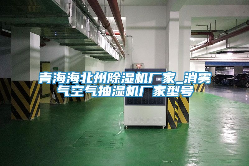 青海海北州除濕機廠(chǎng)家_消霧氣空氣抽濕機廠(chǎng)家型號