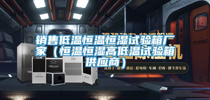 銷(xiāo)售低溫恒溫恒濕試驗箱廠(chǎng)家（恒溫恒濕高低溫試驗箱供應商）