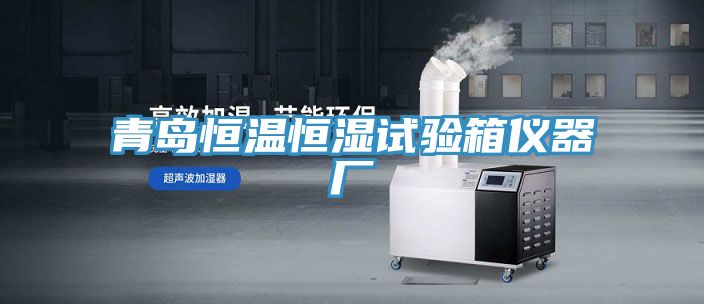 青島恒溫恒濕試驗箱儀器廠(chǎng)