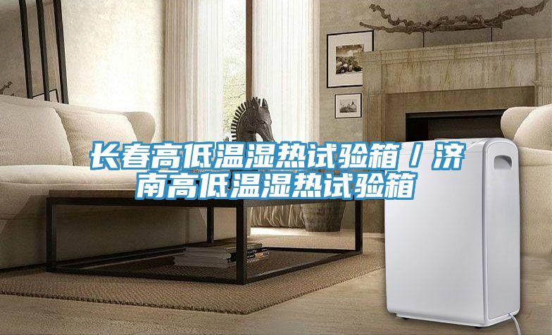 長(cháng)春高低溫濕熱試驗箱／濟南高低溫濕熱試驗箱