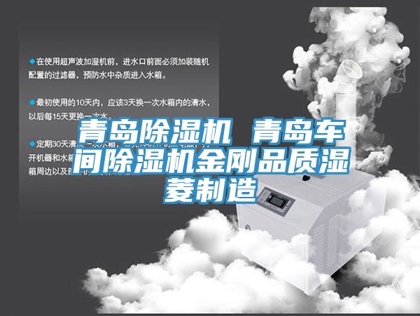 青島除濕機 青島車(chē)間除濕機金剛品質(zhì)濕菱制造